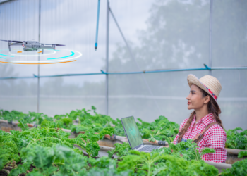 Do 22 grudnia wydłużono nabór dot. systemów jakości żywności